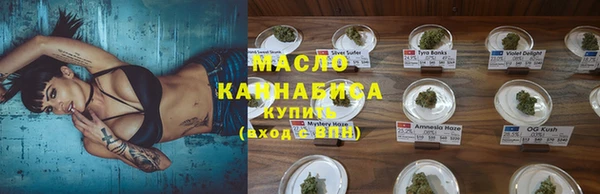 молекула духа Богданович