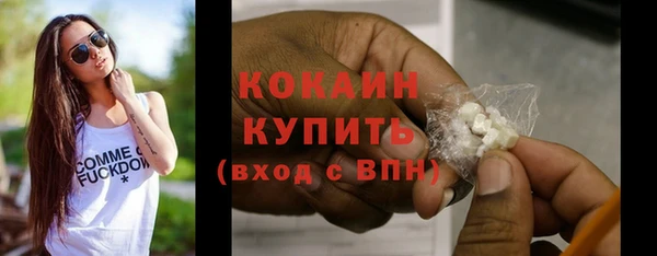 молекула духа Богданович