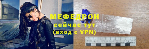 индика Богородск