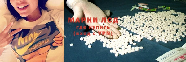 индика Богородск