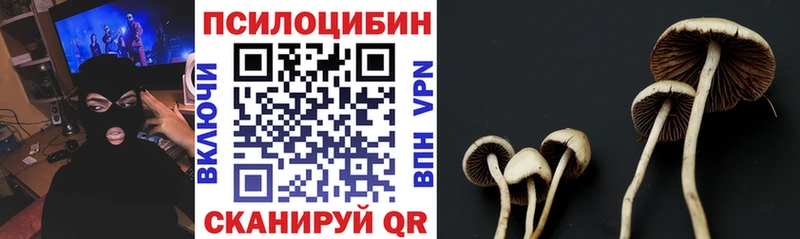 Галлюциногенные грибы Magic Shrooms  Каменск-Уральский 